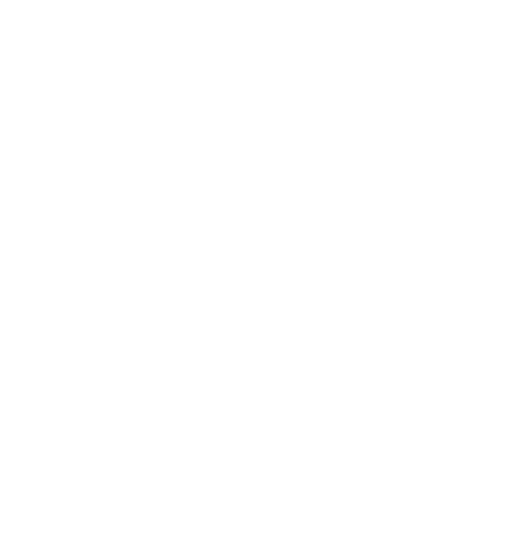 MINAS Logo